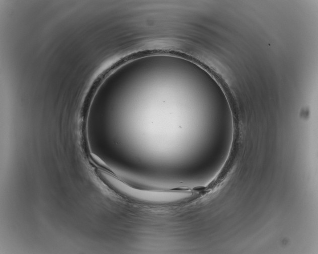 X0000097871029200803141253