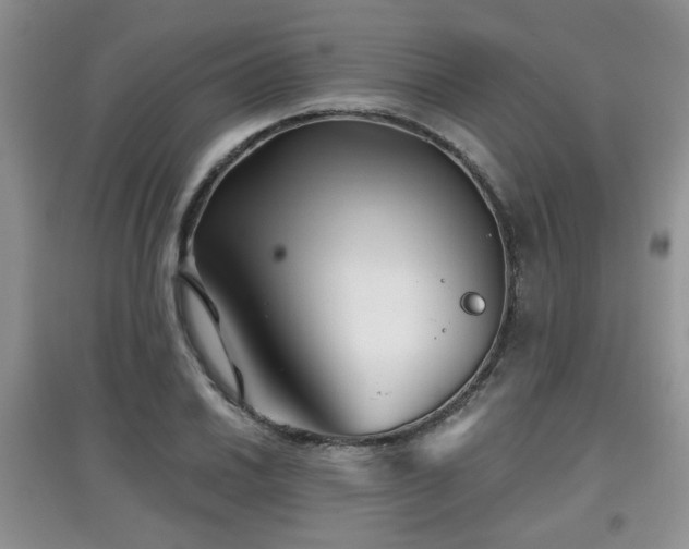 X0000097871030200803141253