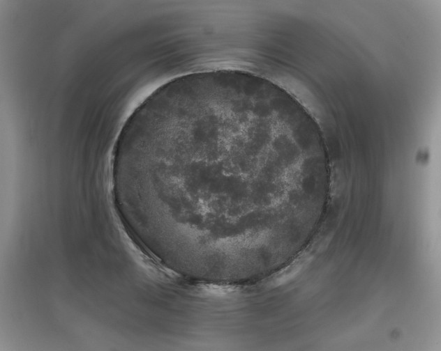 X0000097871031200803141253