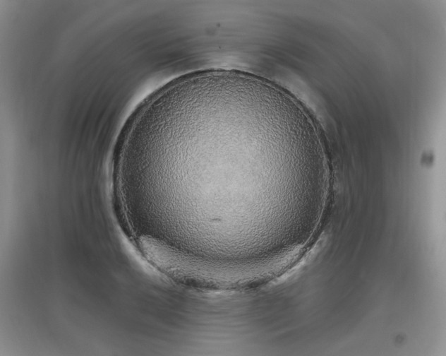 X0000097871032200803141253