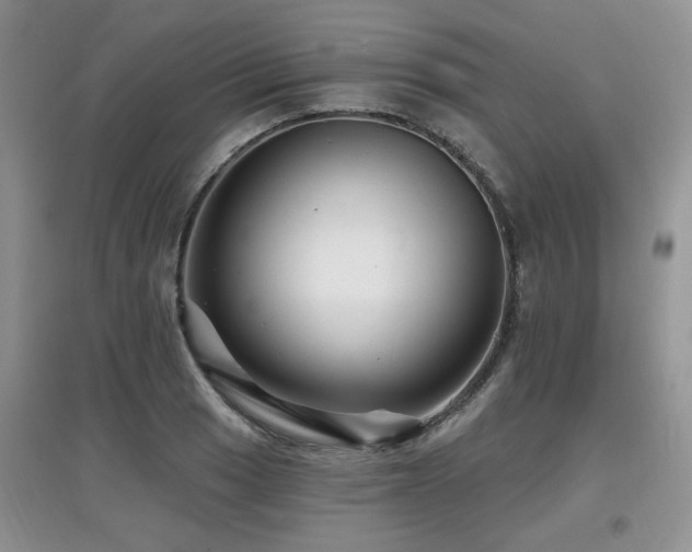 X0000097871033200803141253