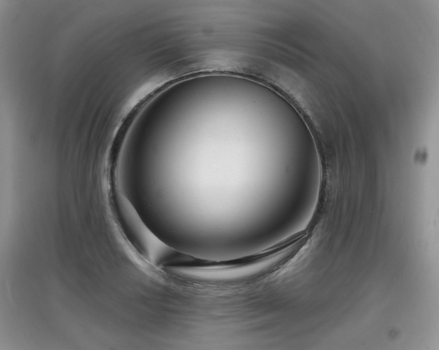 X0000097871034200803141253