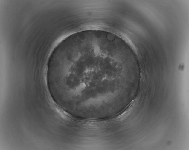 X0000097871035200803141253