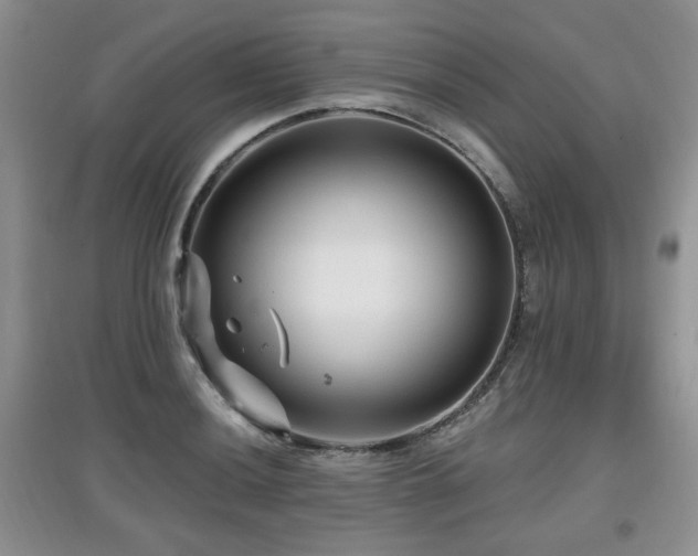 X0000097871036200803141253