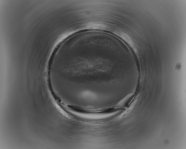 X0000097871037200803141253