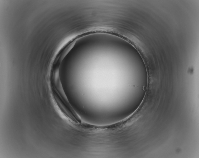 X0000097871038200803141253