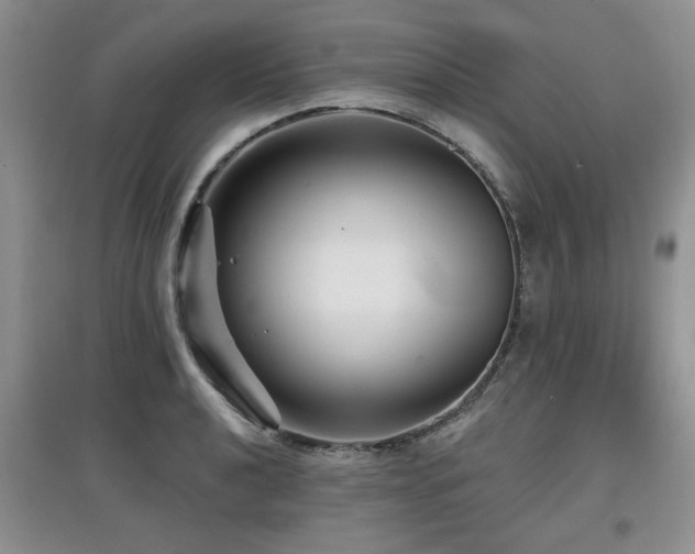 X0000097871040200803141253