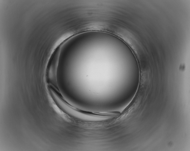 X0000097871042200803141253