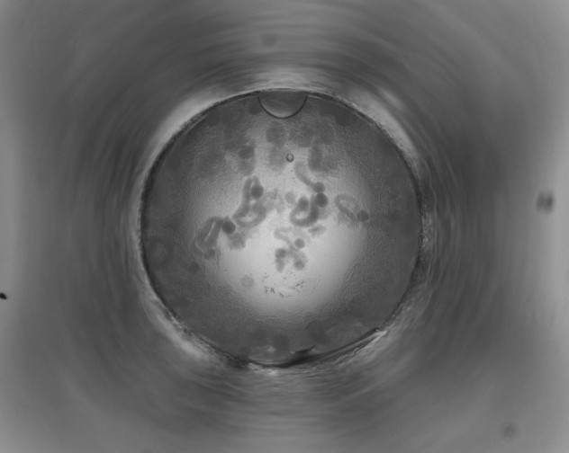 X0000097871043200803141253
