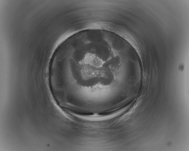 X0000097871045200803141253