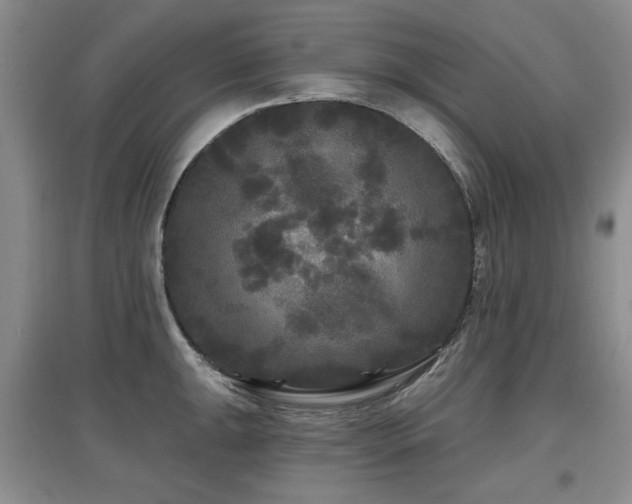 X0000097871047200803141254