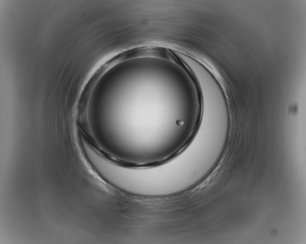 X0000097871048200803141254