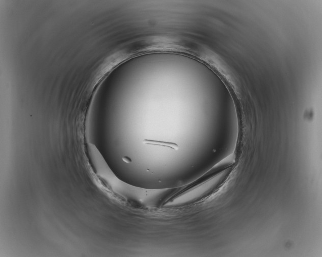 X0000097871049200803141254