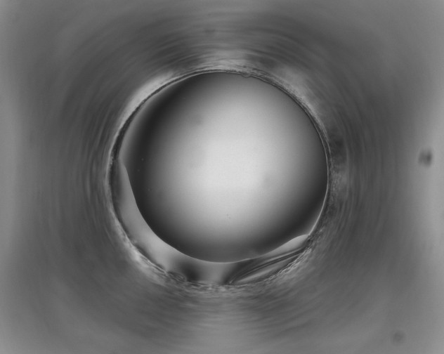 X0000097871050200803141254
