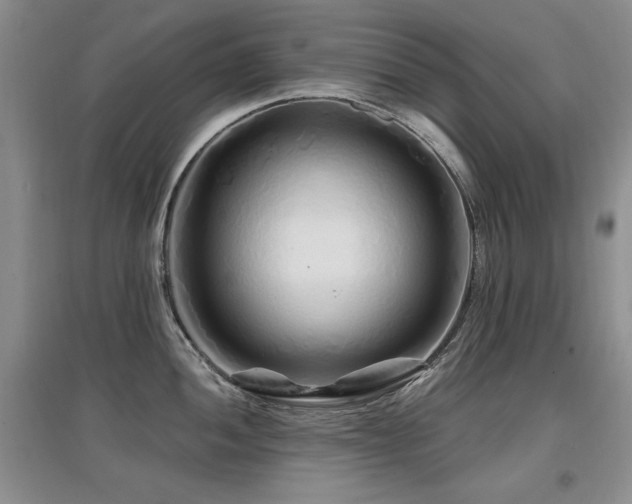 X0000097871052200803141254