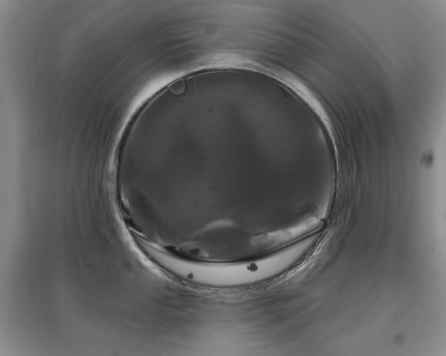 X0000097871053200803141254