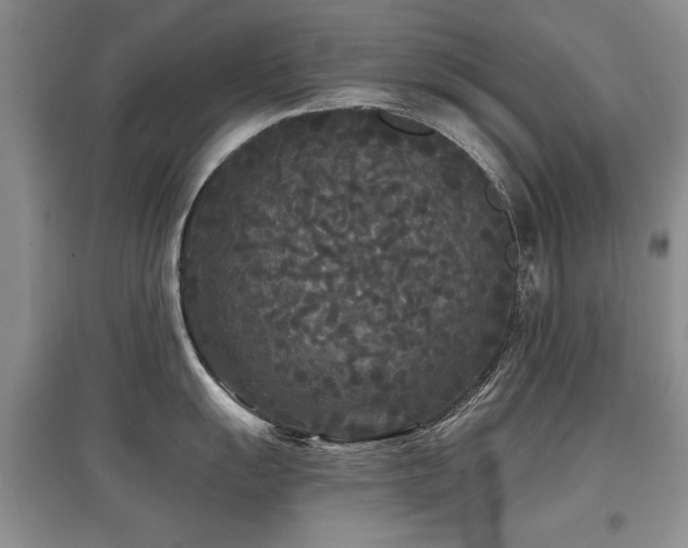 X0000097871055200803141254