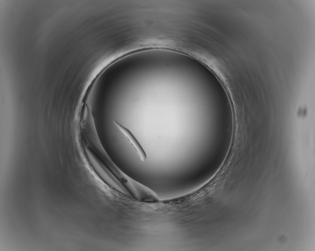 X0000097871056200803141254