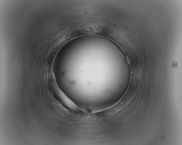 X0000097871058200803141253