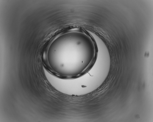 X0000097871060200803141253