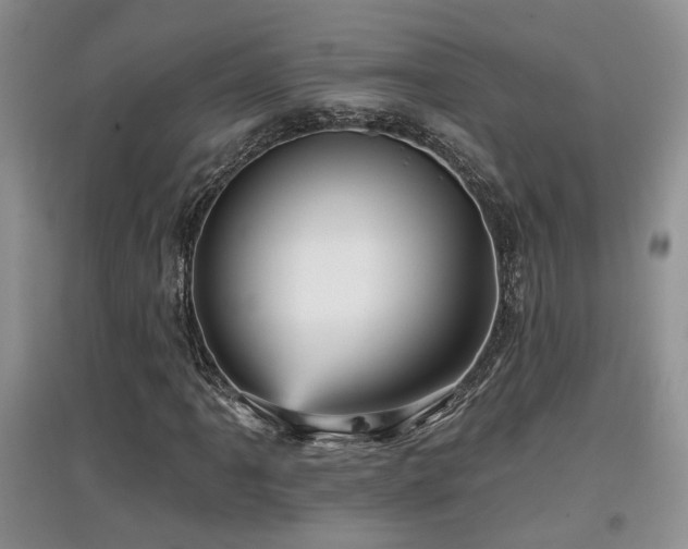 X0000097871061200803141253