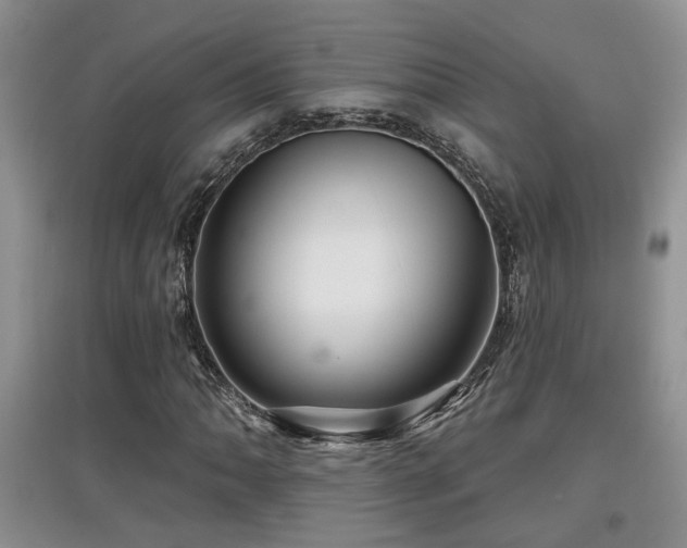 X0000097871062200803141253