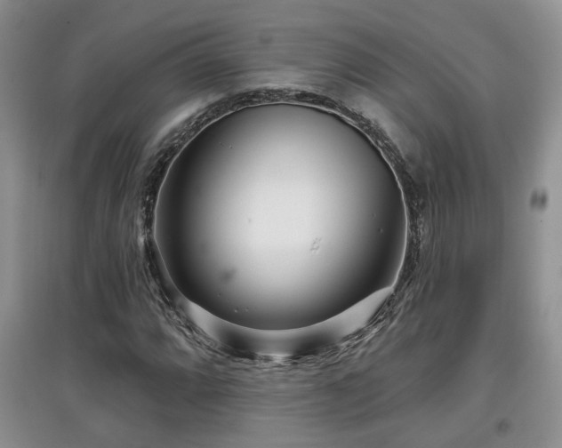 X0000097871064200803141253