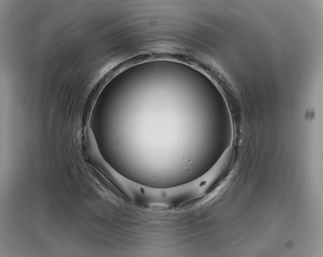 X0000097871065200803141253
