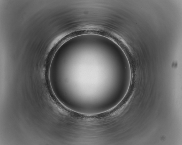 X0000097871066200803141253