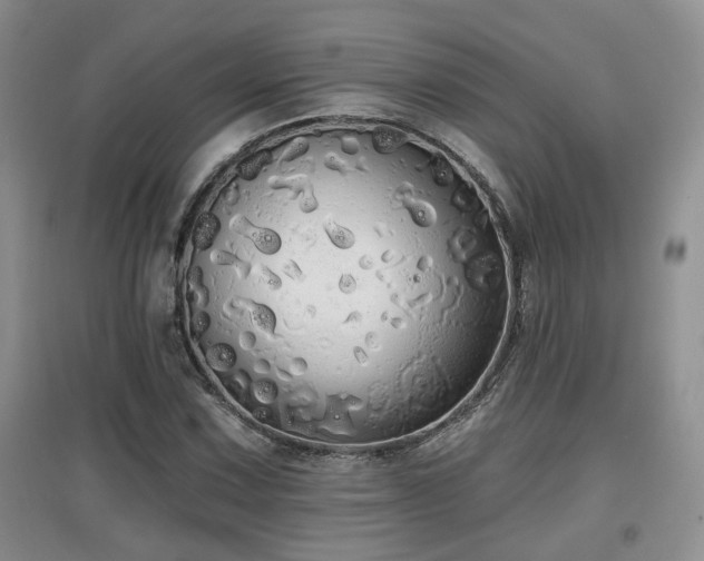 X0000097871067200803141253