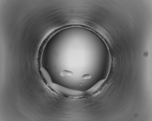 X0000097871068200803141253