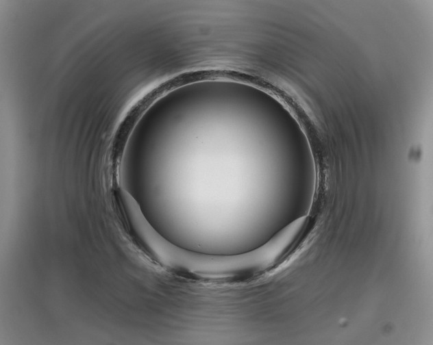 X0000097871069200803141253