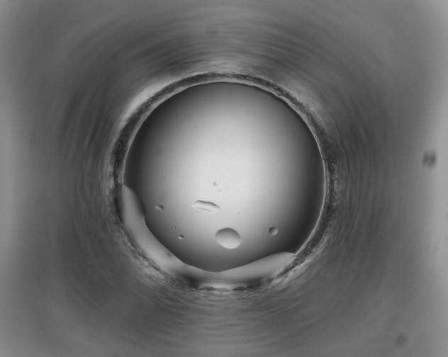 X0000097871070200803141253