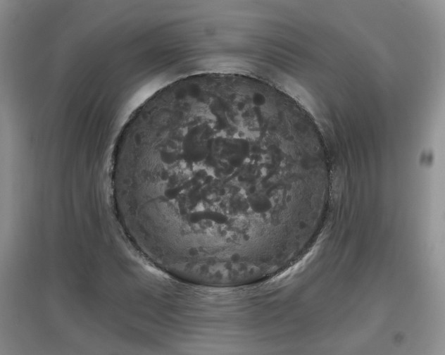 X0000097871071200803141253
