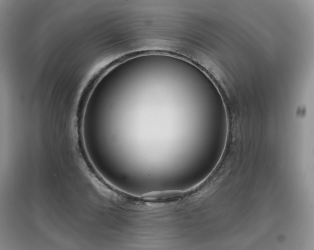 X0000097871072200803141253