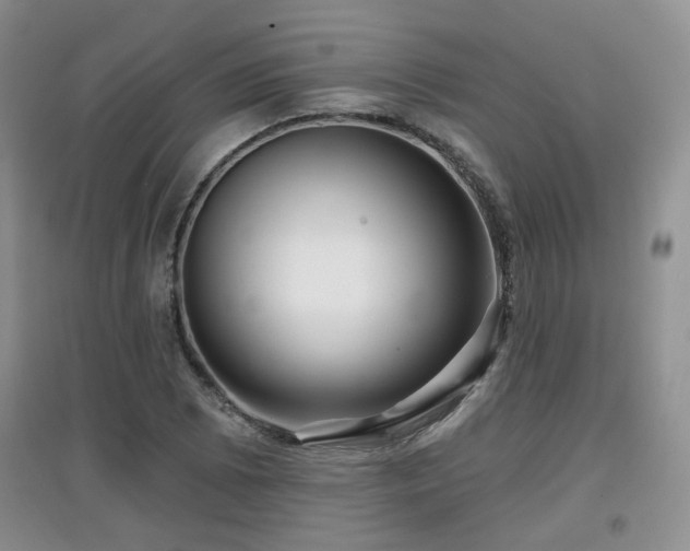 X0000097871073200803141253