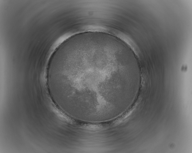 X0000097871074200803141253