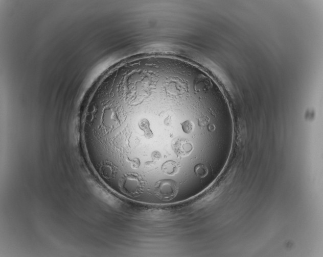 X0000097871075200803141253