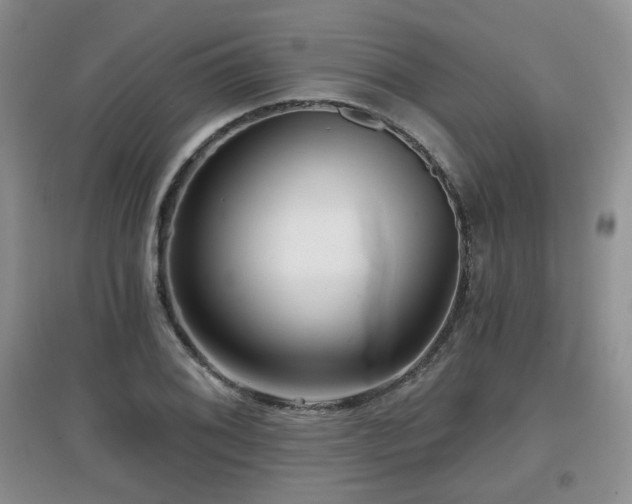 X0000097871076200803141253