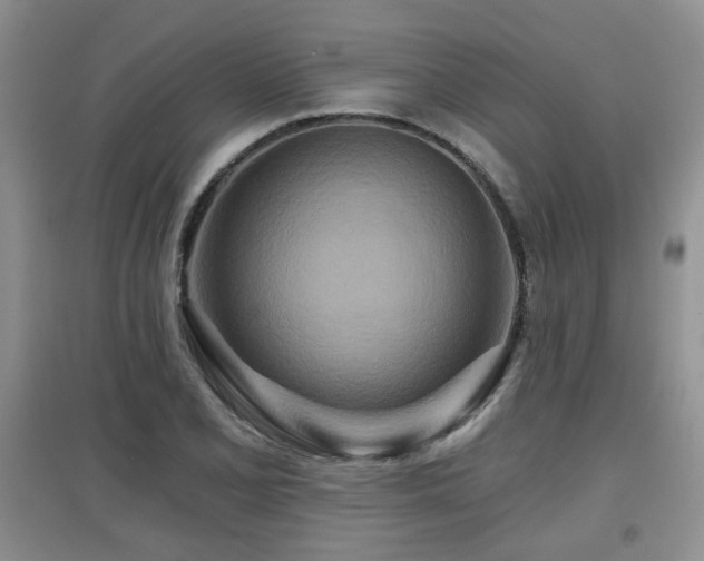 X0000097871077200803141253