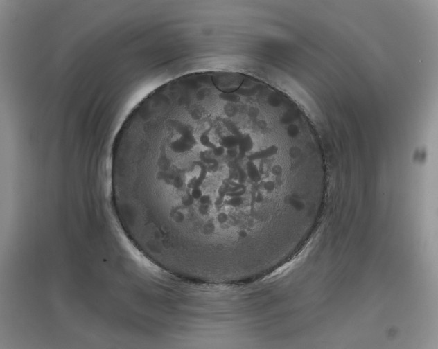 X0000097871079200803141253