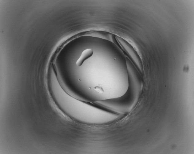X0000097871080200803141253