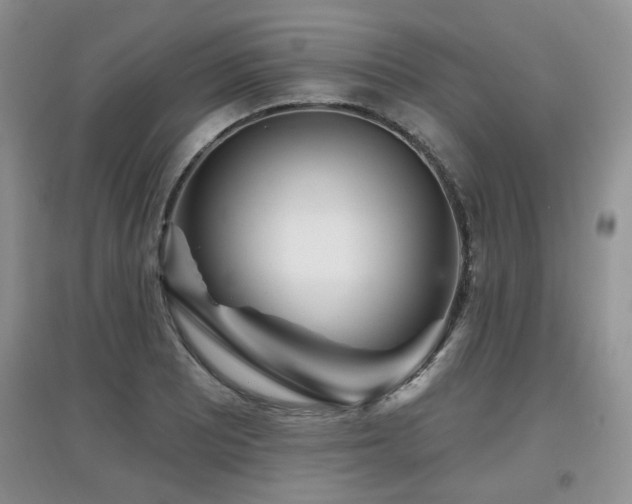 X0000097871081200803141253