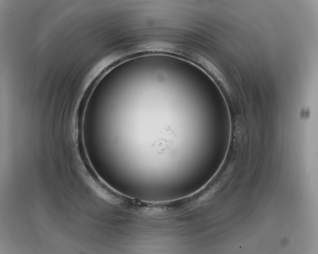 X0000097871082200803141253