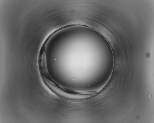 X0000097871084200803141253