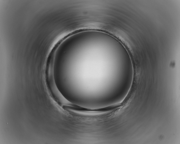X0000097871085200803141253