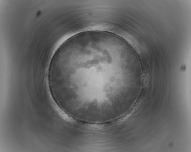 X0000097871086200803141253