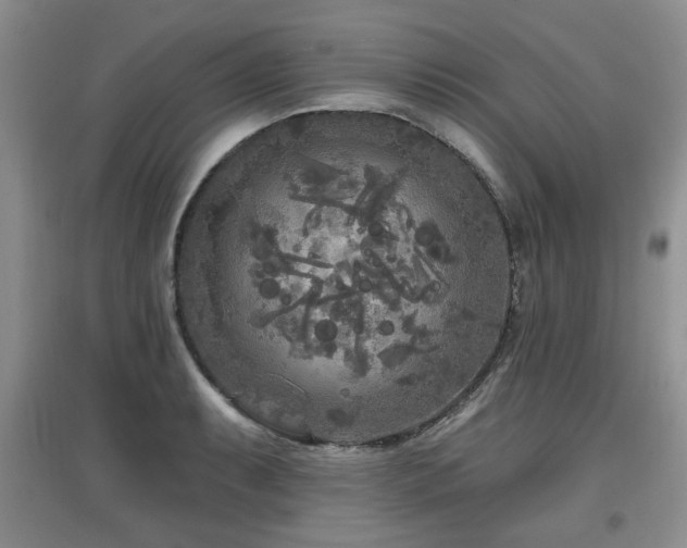 X0000097871087200803141253