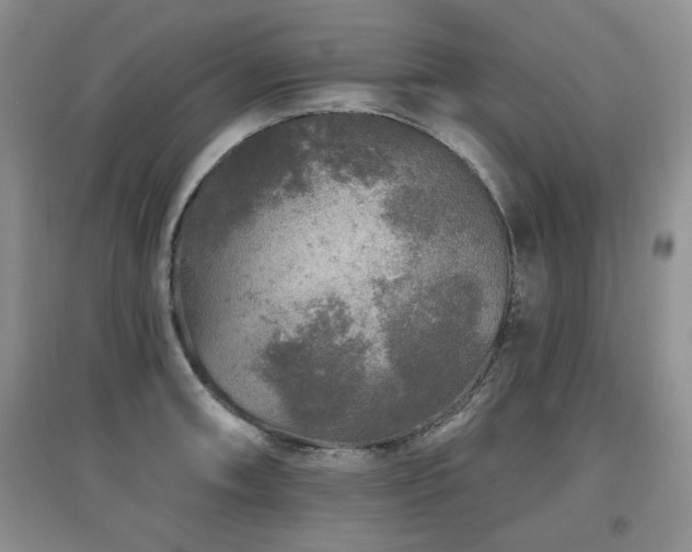 X0000097871090200803141253