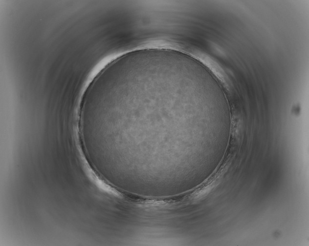 X0000097871094200803141252